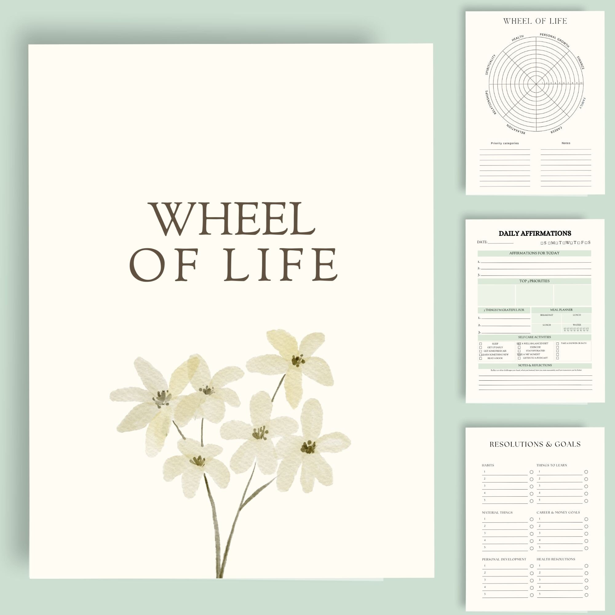 Wheel of Life Worksheet Template: Self Improvement Planner (digital ...