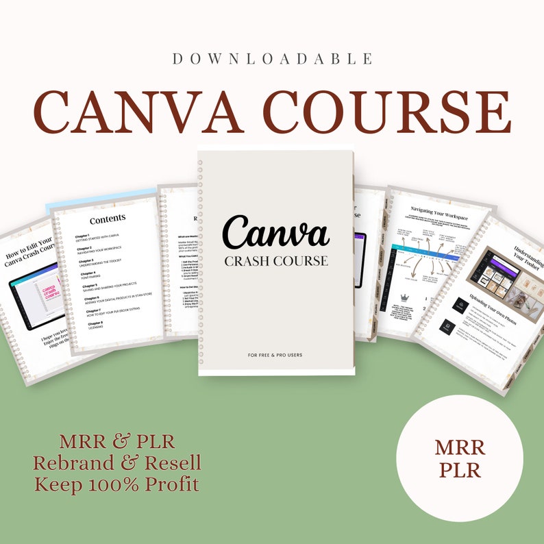 Canva Crash Course and Master Resell Rights MRR with Private Label Rights PLR Done For You ebook, DFY Digital Product image 7
