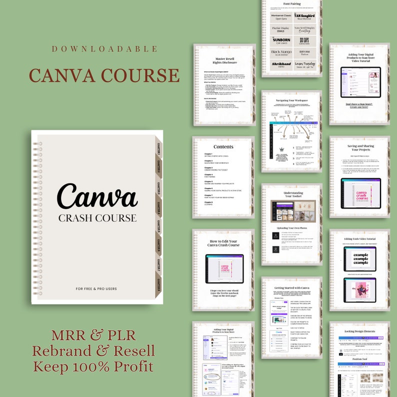 Canva Crash Course and Master Resell Rights MRR with Private Label Rights PLR Done For You ebook, DFY Digital Product imagem 5