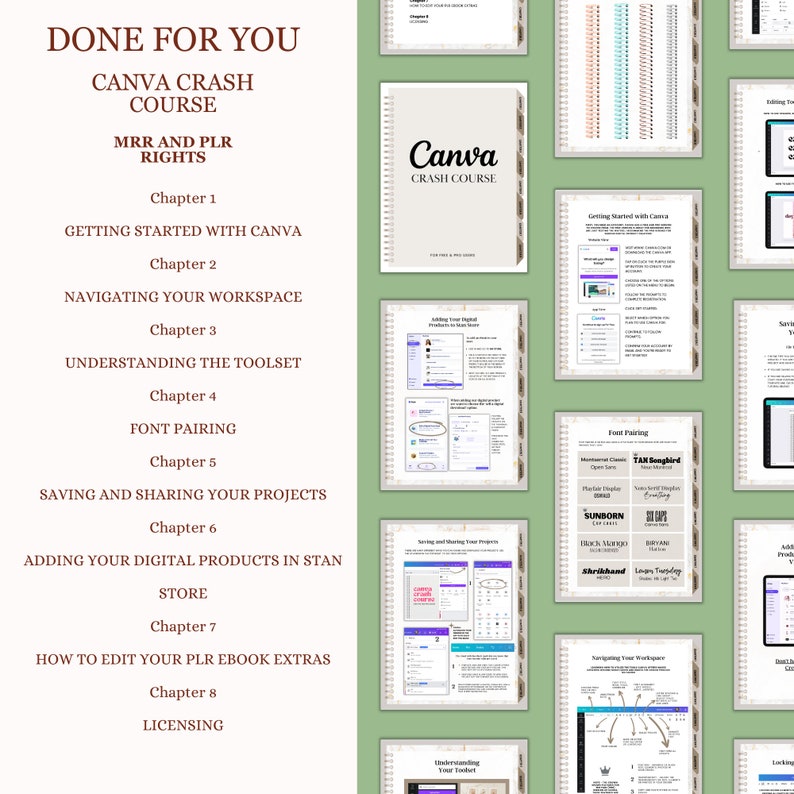 Canva Crash Course and Master Resell Rights MRR with Private Label Rights PLR Done For You ebook, DFY Digital Product image 9
