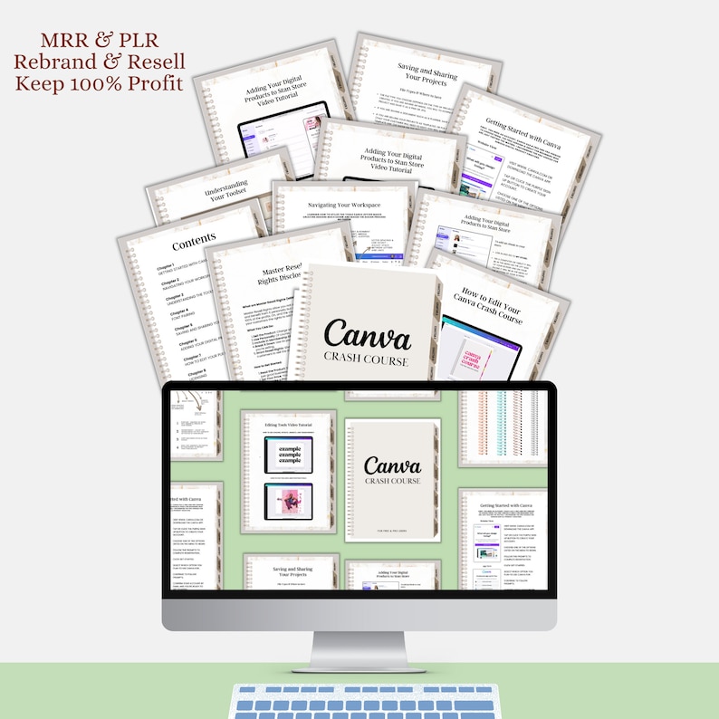 Canva Crash Course and Master Resell Rights MRR with Private Label Rights PLR Done For You ebook, DFY Digital Product imagem 8