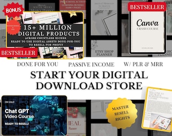 DFY Digital Products Bundle: PLR MRR Business Video Course