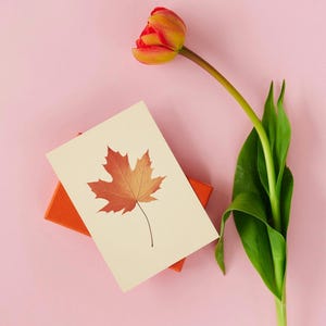 Autumn Leaves Postcard Collection - Set of 12 - Digital Download - Etsy