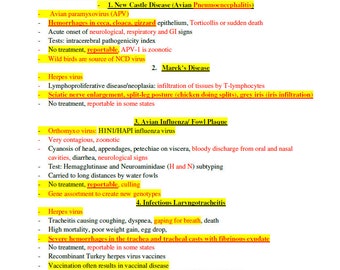 BCSE and NAVLE Past Exams with Comprehensive Answers Notes - BCSE Past Exams 1100+ Pages - Comprehensive Past bcse and Navle exams Notes