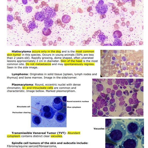 Comprehensive Clinical Pathology Vet Notes - BCSE and NAVLE Prep guide - An ultimate NAVLE Prep and Navle study Guide