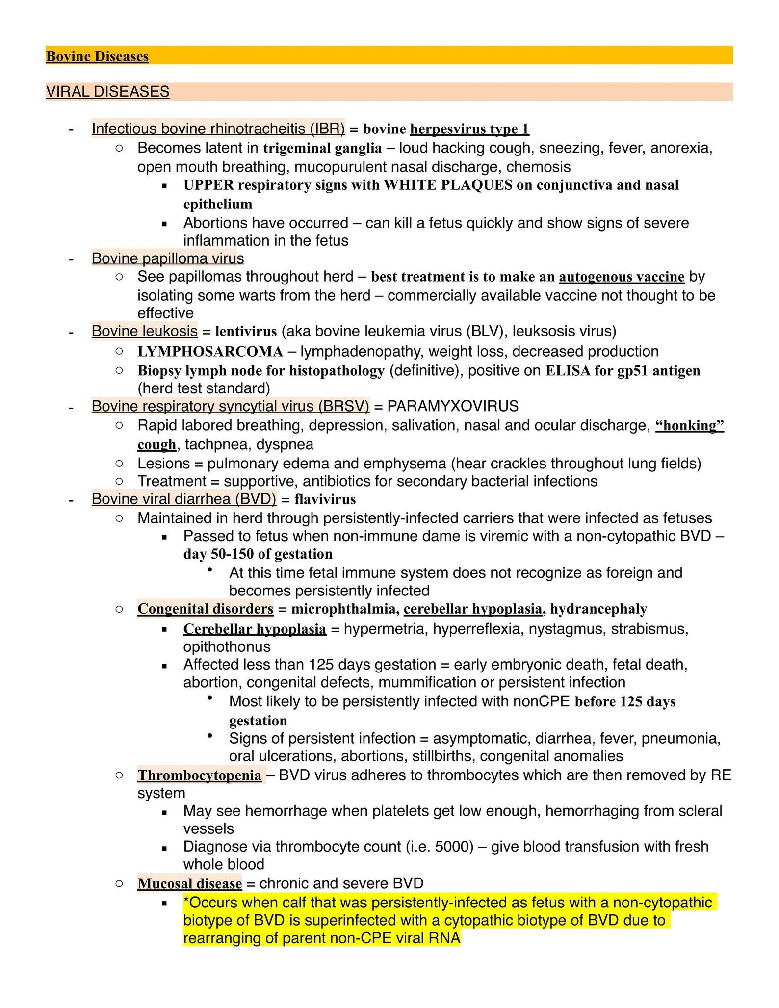 Comprehensive BCSE and NAVLE Study Notes Bundle Complete BCSE Navle ...