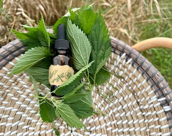 Small-Batch Stinging Nettle Tincture, Urtica Dioica, 1oz Bottle