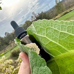 Organic Mullein Tincture, Small-batch Mullein Tincture, Mullein Extract, Verbascum Thapsus, Mullein Leaf Tincture, Organic Mullein