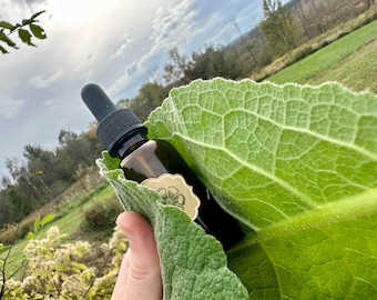 Organic Mullein Leaf Tincture, Small Batch Herbal Extract (1oz)