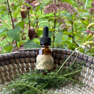 Organic Yarrow Tincture, Small-batch Yarrow Tincture, Yarrow Extract, Achillea Millefolium, Yarrow Leaf Tincture
