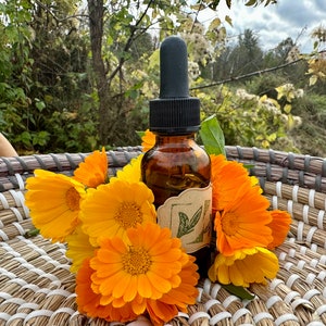 Organic Calendula Tincture, Small-batch Calendula Tincture, Calendula  Extract, Calendula Tincture
