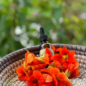 Organic Nasturtium Tincture, Small-batch Nasturtium Tincture, Nasturtium Extract, Nasturtium Tincture, Tropaeolum, Organic Nasturtium
