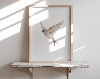 Barn Swallow Fine Art Watercolor Print, Bird Portrait or Square