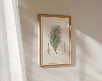 DOWNLOAD: Pine Print, Vintage Pine Botanical Print, Forest Botany Print, Forest Art, Evergreen Art Print, Wall Decor, Digital Download