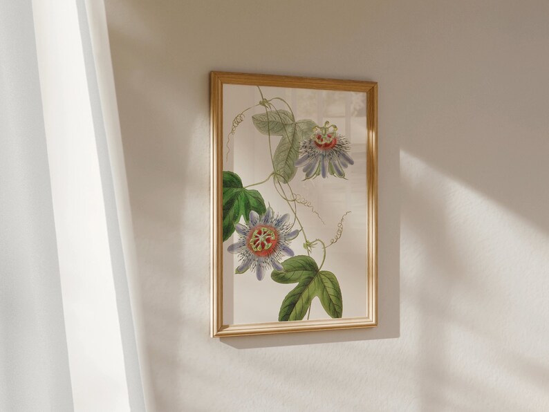 Vintage passion flower print