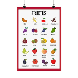 Poster fruit in het Latijn, kunst in de klas, Latijn leren, Oude Rome, leraar Latijn, leer fruitnamen, schoolposter