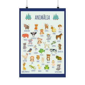 Tiere auf Latein Poster, Klassenzimmer Kunst, Latein lernen, antikes Rom, Latein Lehrer, Tiernamen lernen, Schulposter