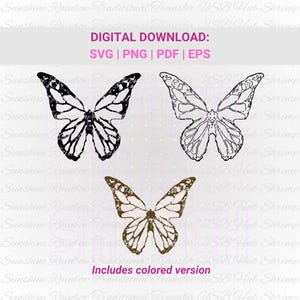 Esperanza SVG, Confeti de mariposa en el escenario, Kpop Svg, Archivos de corte vectorial, Regalo de concierto de gira para el ejército, Calcomanía de JHope, Clip Art de Hobi, Imprimible