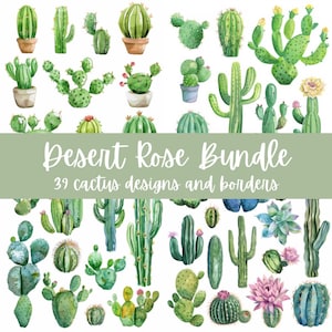 Diseño de invitación para fiesta de cactus, borde de flor de cactus, flores del desierto, planta en maceta, clip art, invitación para fiesta, tema suculento, fiesta del té, jardín