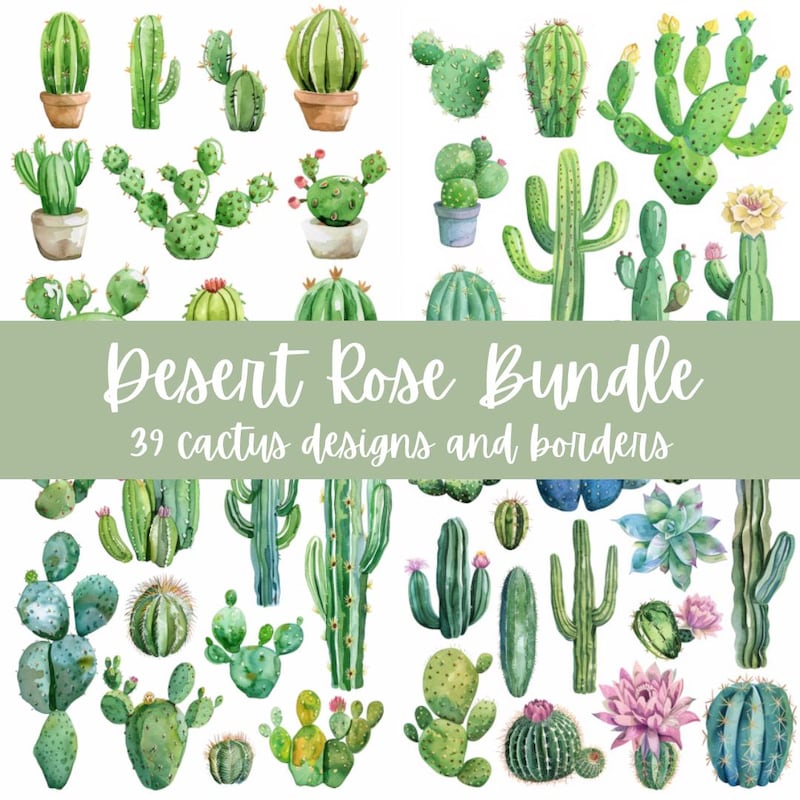 Watercolor Cactus Border - Etsy