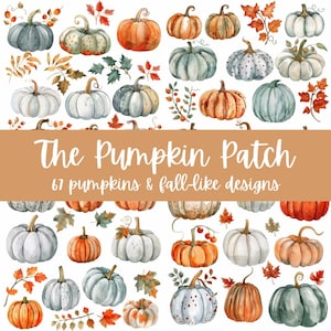 Puede incluir: Una ilustración digital de 61 calabazas y diseños otoñales. Las calabazas son de varios colores, incluyendo naranja, blanco y azul. Los diseños incluyen hojas, bayas y enredaderas. El texto "The Pumpkin Patch" y "61 pumpkins & fall-like designs" se muestra en una pancarta marrón.