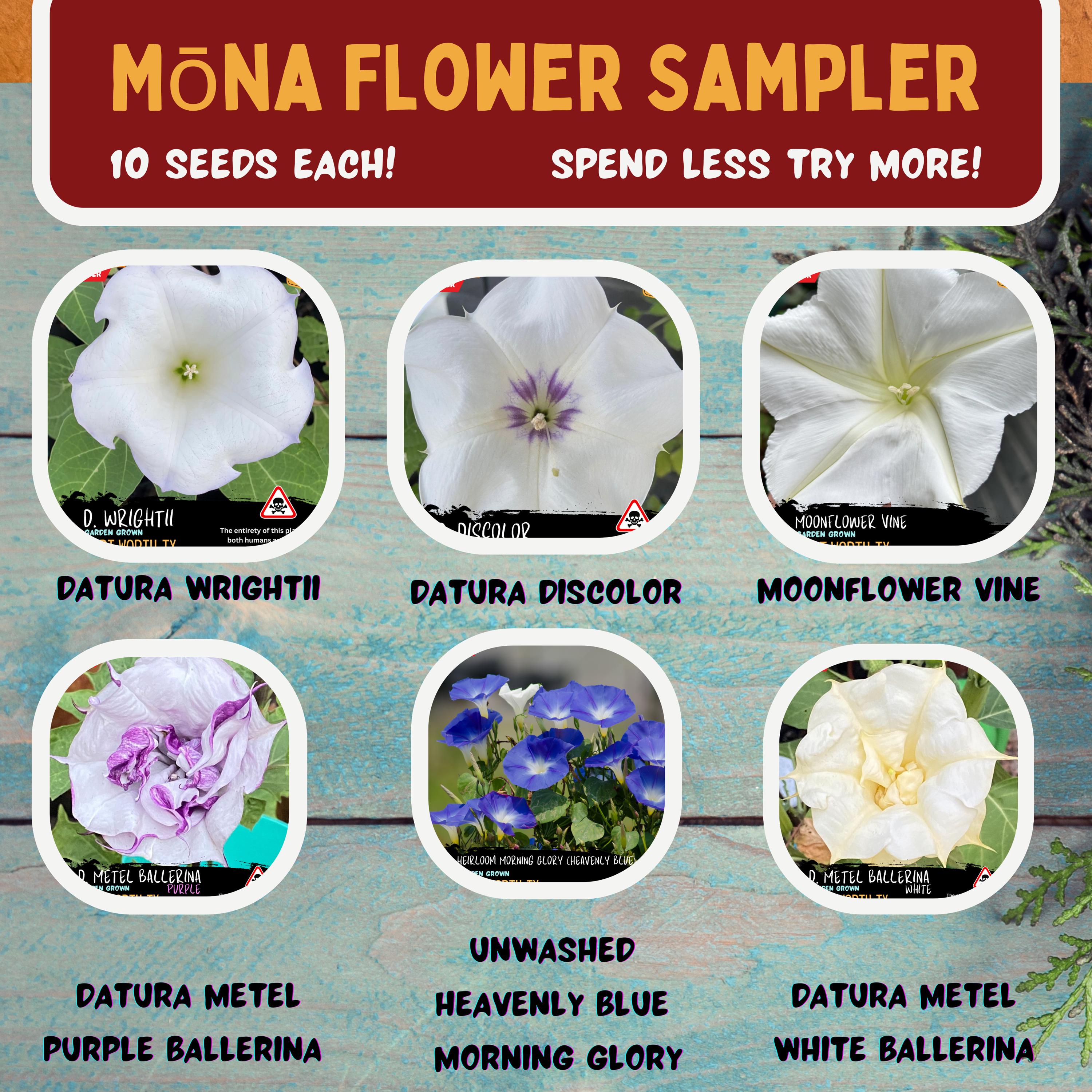 Heirloom Mōna Flower Sampler - Datura Wrightii, Discolor, Metel Double Ballerina Whire, Purple Ballerina, Heavenly Blue, & Moonflower Vine!