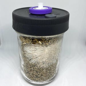 Mushroom Growing Supplies - Liquid Culture Lid with Ring, Cultivation Mason Jar Self Healing Injection Port Lid - 0.22ųm Carbon Port