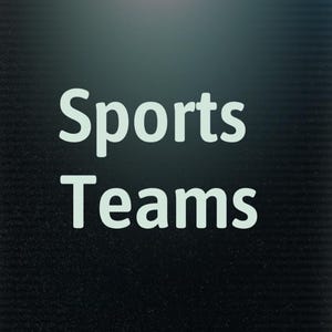 May include: White text on a dark background reads "Sports Teams". The text is in a bold, sans-serif font. The background has a subtle gradient and a textured appearance.