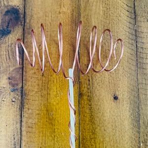 Oblong Electro Culture, Pure Copper Garden Accessory/ Plant Health