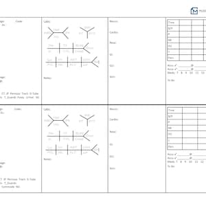Nurse Report Sheet 2 Patient Basic