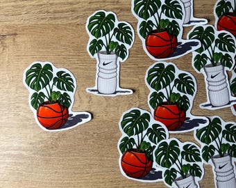 hoops and roots  bundle