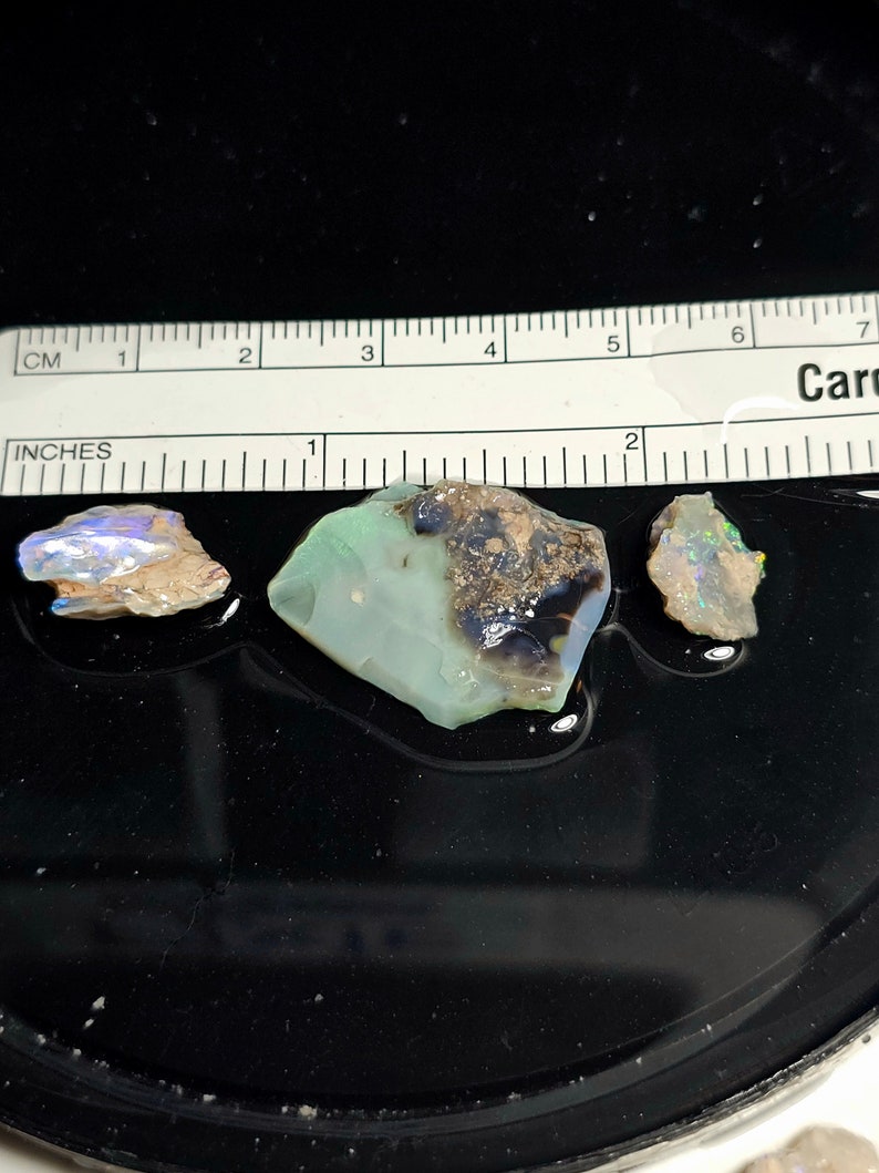 55 Cts Rough Black Opal Parcel From Lightning Ridge Australia Hobby