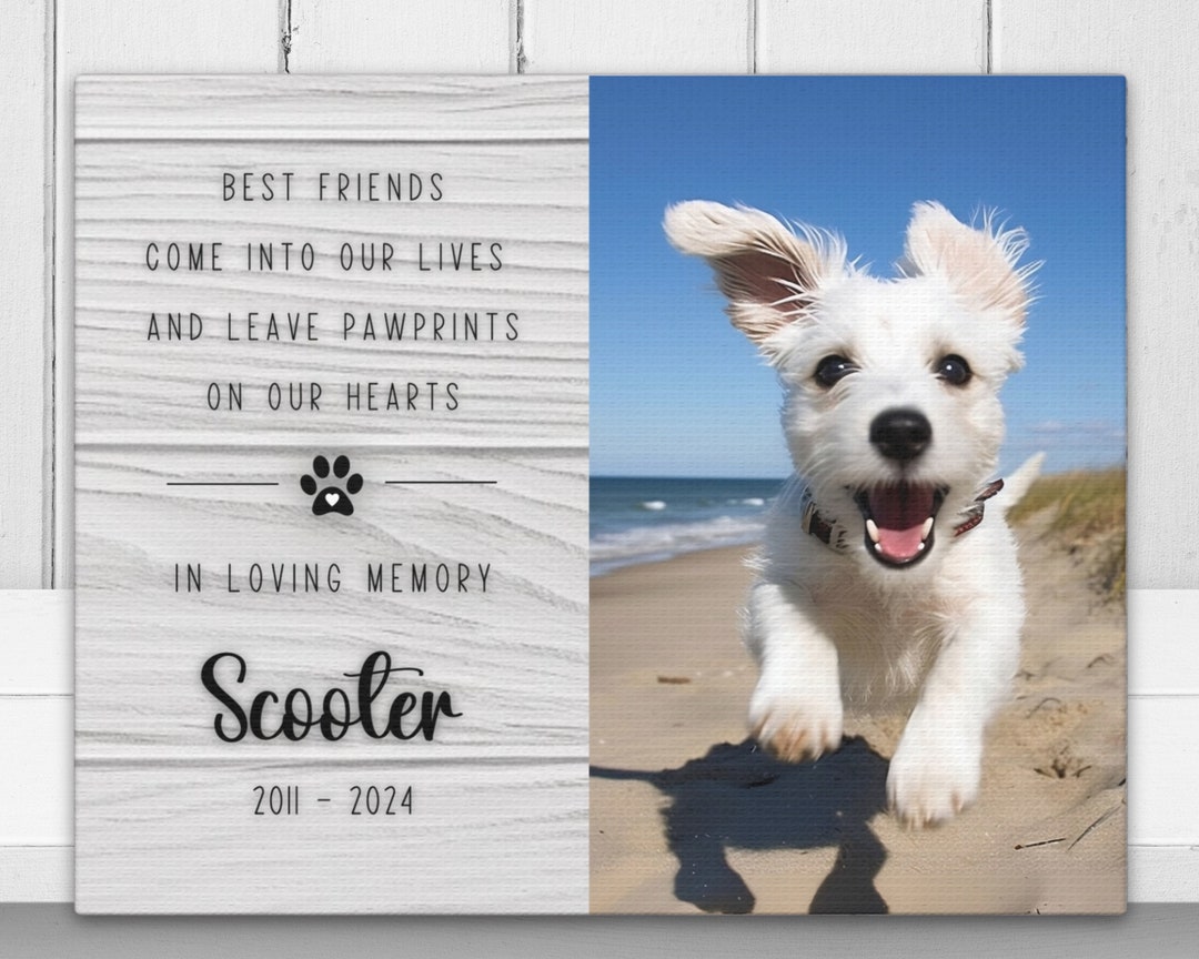 Loss of Dog Gift, Pet Memorial Frame in Memory of Dog Passing Away, Cat