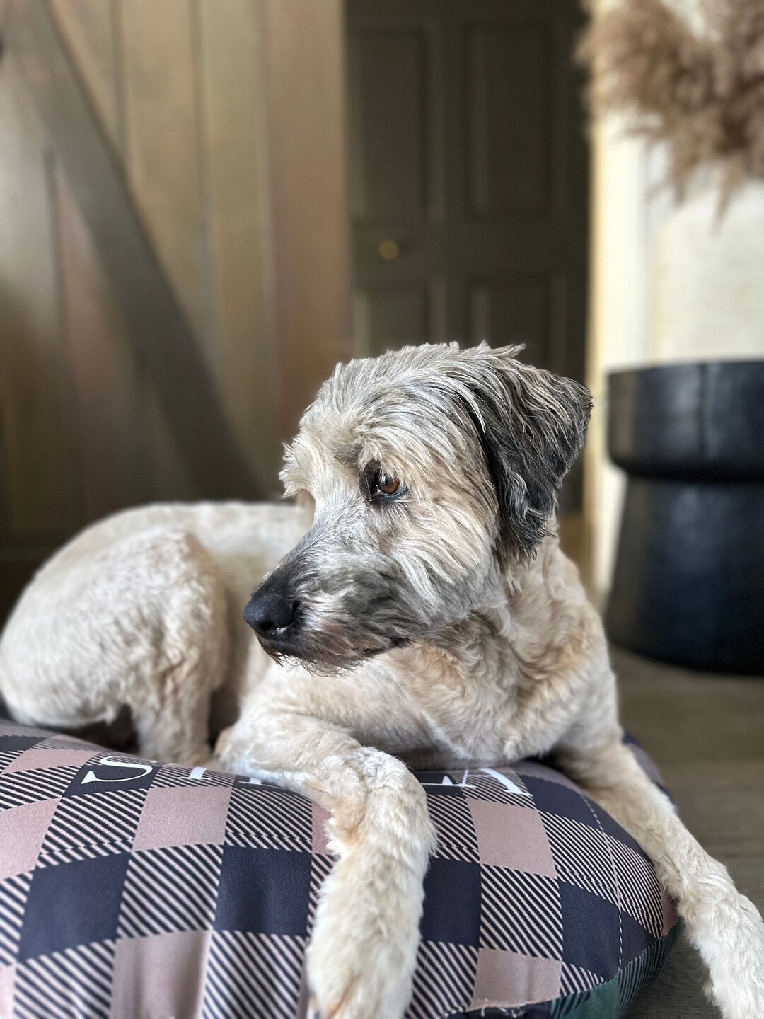 Dog Bed Personalized Custom Name,custom Pet Bed With Picture,machine