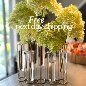 Bud Vase Centerpiece Glass Test Tube Flower Decoration Modern Gold Floral Vessel Table Top Office Decor Flower Display Plant Propagation
