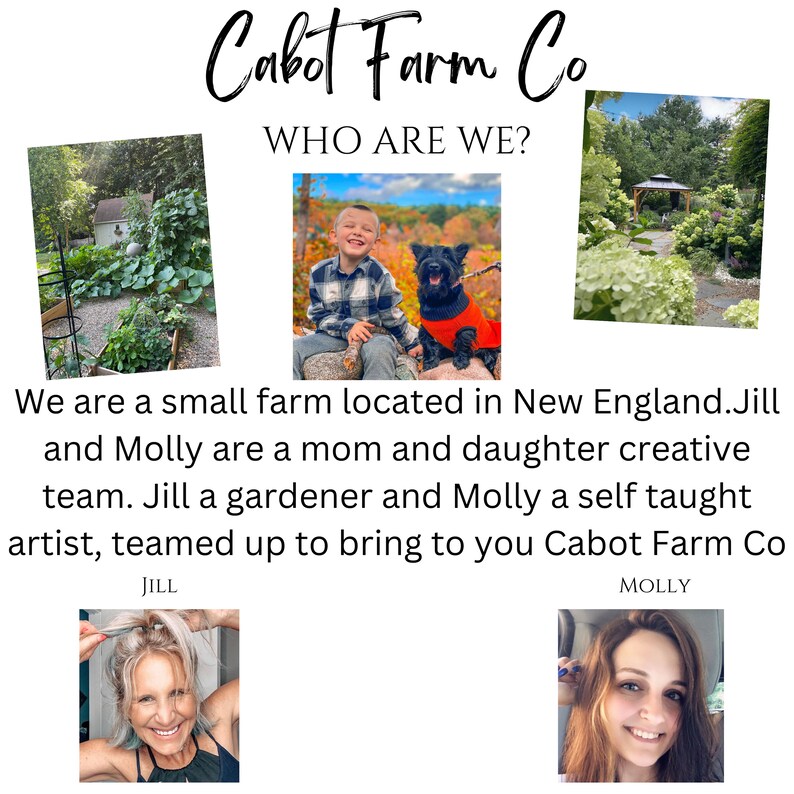 May include: Cabot Farm Co. is a small farm in New England run by a mother and daughter. Jill is a gardener and Molly is a self-taught artist. The image shows a photo of Jill and Molly, along with photos of their farm.