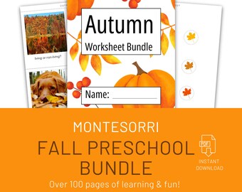 Fall Preschool Activities | Fall Activity For Kids | Math Activity | Fall Nature Study | Nature Studies Homeschooling | Toddler Activity