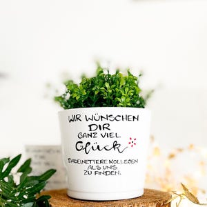 Blumentopf Abschiedsgeschenk Kollege Kollegin, Kollegin Geschenk, Kollegen Abschied, lustiges Geschenk Abschied, Kollegin Geschenk Abschied,
