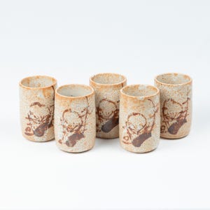 Shino Yunomi, lot de cinq