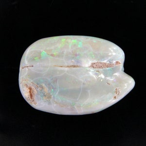 Opalized Shell Fossil Collector&#39;s Stone, Gift for Nature Lovers, Gift for Gemstone Collectors, Australian Opal from Coober Pedy, Nerdy Gifts