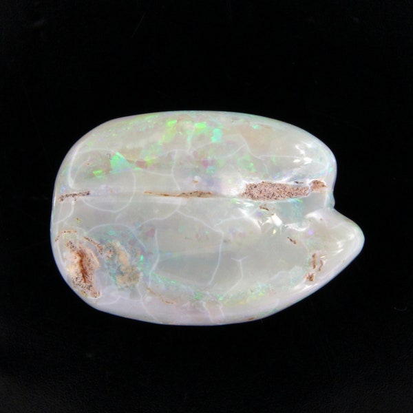 Opalisierten Muschelfossil Sammlerstück, Geschenk für Naturliebhaber, Geschenk für Edelsteinsammler, Australischer Opal, Coober Pedy