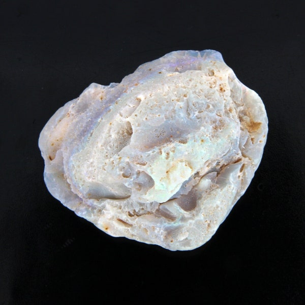 Großes Opalisiertes Muschelfossil mit Schönen Farben, Unpoliertes Rohfossil, Geschenk für Naturliebhaber, Edelopal Naturstein