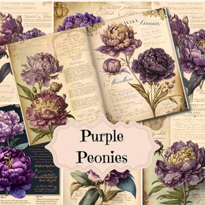Kit de diário de lixo, peônias roxas, papel para impressão, suprimentos para diário de lixo vintage, scrapbook chique e surrado, fundos de peônias roxas