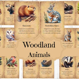 Wald Tiere Junk Journal Kit Verzauberten Wald Scrapbook Digitale Papier Tiere Junk Journal Liefert Shabby Chic Wald Hintergründe