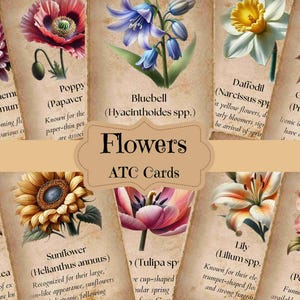 Flowers Junk Journal Supplies Vintage Flowers Scrapbook Ephemera Flowers CutOuts Flowers Ephemera Flowers  ATC Cards Bothanical ATC Cards
