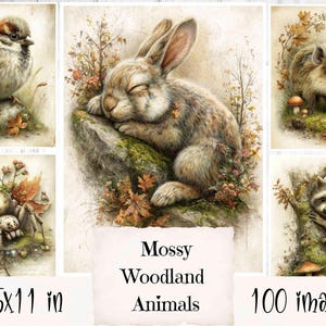 Op de afbeelding: Een verzameling aquarel illustraties met bosdieren, waaronder een slapend konijn, een mus, een wasbeer, een egel en een spin. De afbeelding bevat de tekst "Mossy Woodland Animals" en "8.5x11 in".