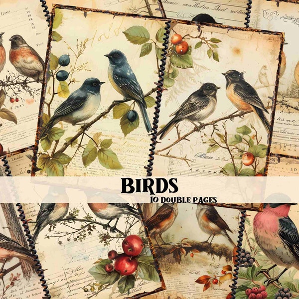 Vintage Birds Junk Journal Kit Birds Scrapbook Printable Backgrounds Birds Junk Journal Supplies Birds Shabby Chic Digital Backgrounds