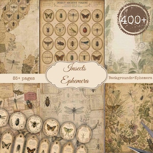 Puede incluir: Un collage de efímeras vintage con temática de insectos. El diseño incluye fichas de archivo de insectos, etiquetas y fondos con ilustraciones de mariposas, escarabajos y libélulas. El texto incluye "Insects Ephemera", "85+ páginas" y "400+".