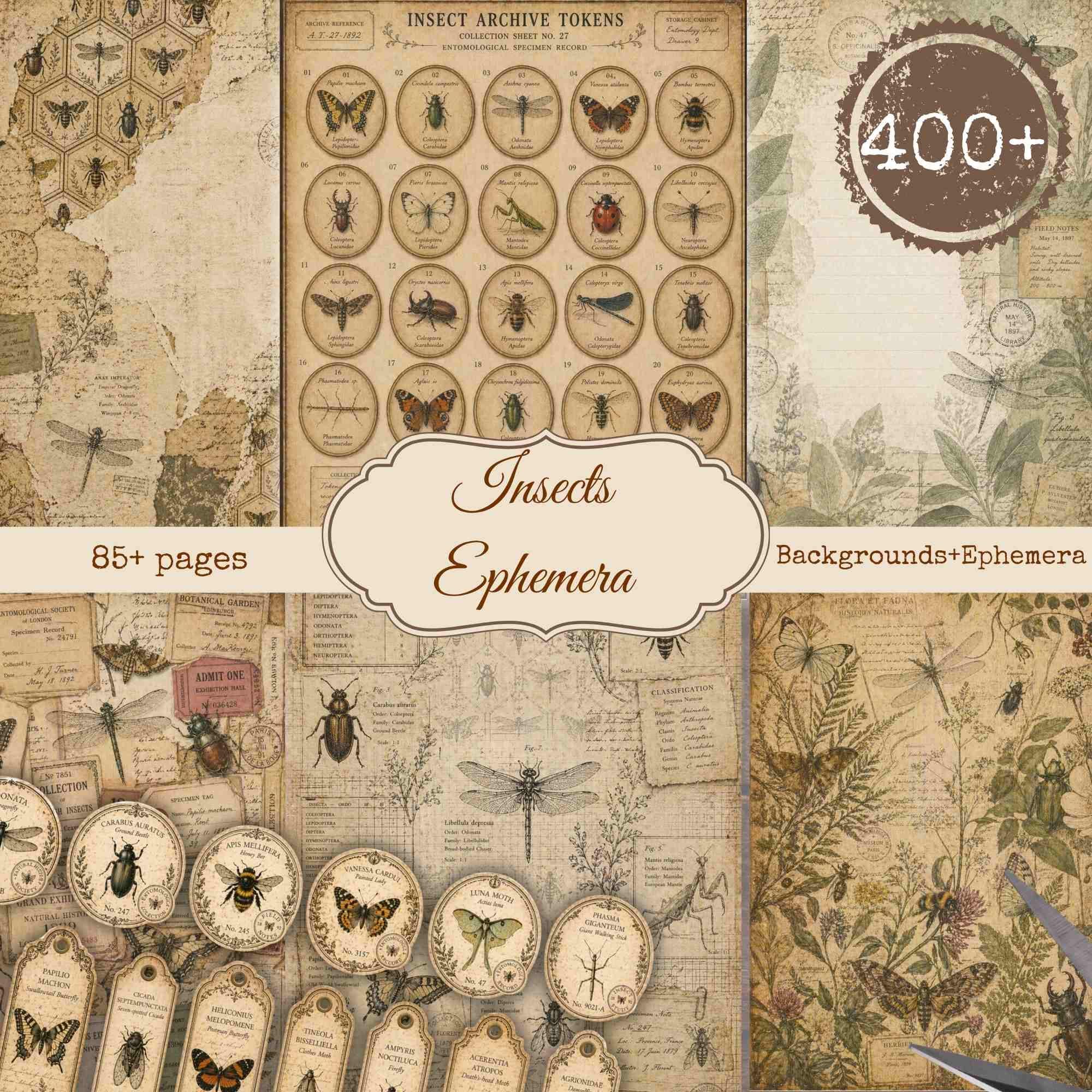 Vintage Insects Junk Journal Kit: Printable Butterfly Ephemera & Cards ...