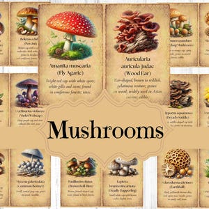 Kit de diário de lixo de cogumelos de fantasia, suprimentos de diário de lixo de cogumelos coloridos, floresta encantada, fundos chiques e surrados, álbum de recortes de cogumelos